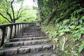 神社の階段
