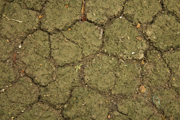 background of ground