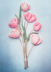 Charming gentle spring tulips bunch in pastel color on blue background, top view. Mock up for springtime holidays or greeting for Mothers day, wedding or happy event