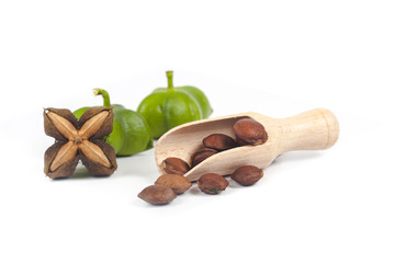 fresh and dry Inca peanut in wood spoon on white background
