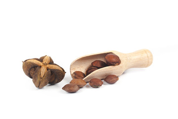 dry Inca peanut in wood spoon on white background