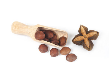dry Inca peanut in wood spoon on white background