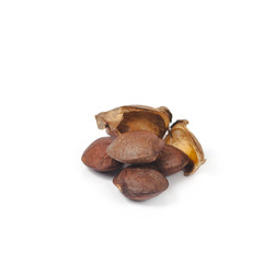 dry Inca peanut on white background