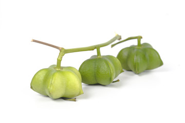 fresh inca peanut on white background