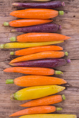 Rainbow carrots on a rustic wooden background. Healthy eating concept