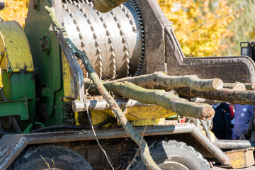 Industrieller Holzh&auml;cksler