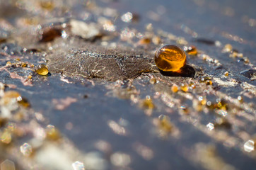 Drop of resin on the wooden surface