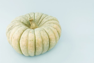 Big pumpkin isolated