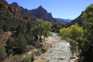 ザイオン国立公園のノース・フォーク・バージン・リバーとウォッチマン