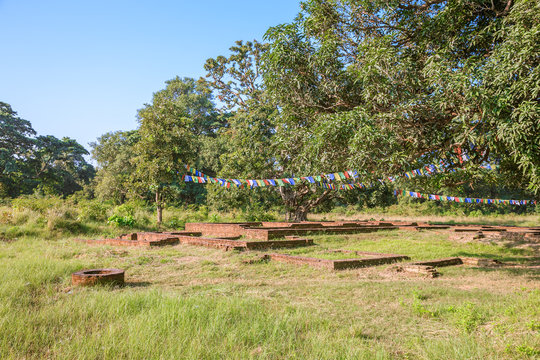 「Tilaurakot」の写真素材 12件の無料イラスト画像 Adobe Stock