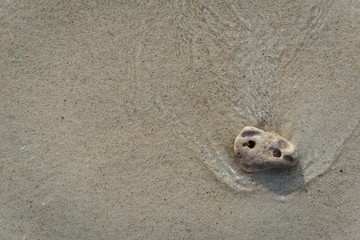 Rock on the beach with sunlight.