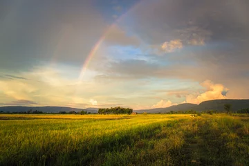 Fotobehang Rice Field and Rainbow © patpitchaya