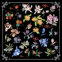 Graphic illustration with floral elements _set 5