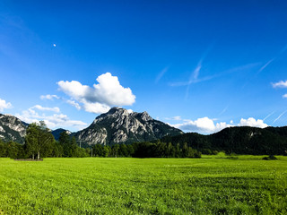 Allg&auml;u