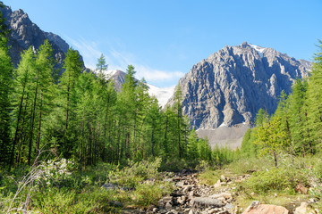 Fototapeta na wymiar View Karatash peak and Aktru glacier. Altai Republic. Russia