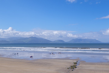 Windsurfer am Inch Beach