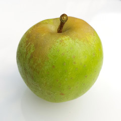 Rote Sternrenette, Herzapfel, Alte Apfelsorte, Apfel, Malus, domestica