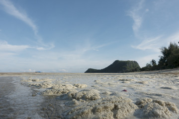 Water pollution from ocean-sea wash up to the beach problem 