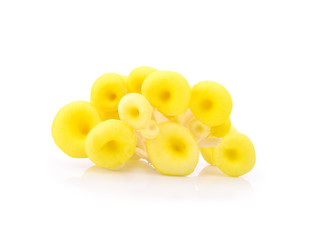 Yellow mushrooms  isolated.