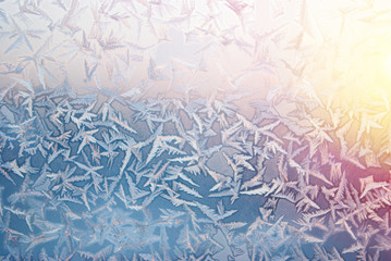 Winter landscape.Frozenned flower