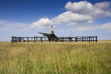 Fototapeta premium Vecchio cannone