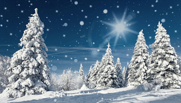 magischer Winterwald
