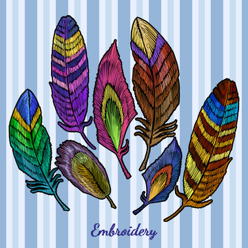 Embroidery beautiful feathers of tropical birds collection. Color feathers embroidery fashionable template for design of clothes, t-shirt design