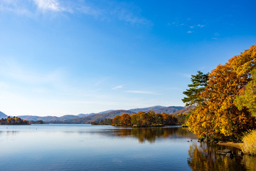 Fototapeta premium 紅葉の大沼公園（小沼）