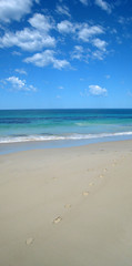Fototapeta na wymiar Beautiful Beach, Australia