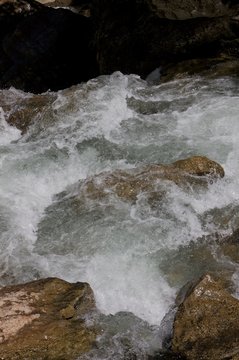 Te Urewera National Park New Zealand