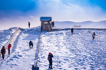 Pyeongchang, Gangwon-do, South Korea - Daegwallyeong Yangtte Farm with heavy snowfall.