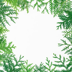 Christmas round frame of winter trees on white background. Christmas or New year concept. Flat lay, top view