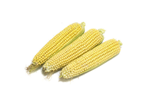 Fresh corns isolated on white background