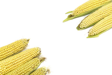 Fresh corns isolated on white background with copy space