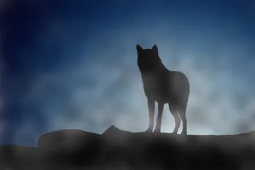 Papier Peint photo Loup Loup au coucher de la lune