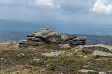 Fototapeta na wymiar The landscape of mountain in Harz, Germany