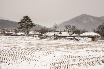 Asan Oeam Village landscape with snowing down.