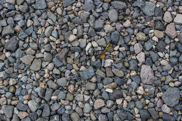 Placer of small and medium pebbles, background, texture