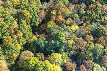 Vue aérienne de forêt à l'automne à Bazeont à l'ouest de Paris