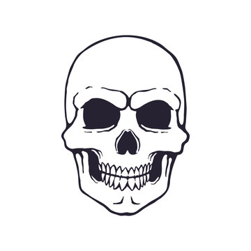 Vector illustration. Hand drawn doodle of human skull with a terrible smile. Symbol of danger and death. Cartoon sketch. Poison sign. Isolated on white background  