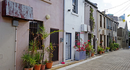 Entrance to typical Australian houses decorated with flower pots in Surry Hills, NSW, Australia