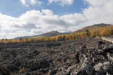Volcano Etna and vegetation