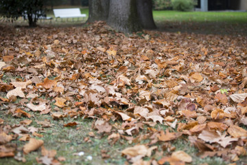Autunno in citt&agrave;