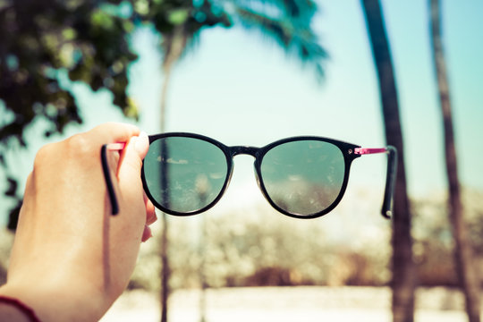 Sunglasses against the background of blurry palm trees. The concept of vacation.