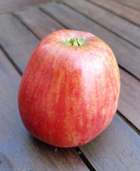 Schoener von Haseldorf, Apfel, Malus, domestica, Alte Apfelsorten
