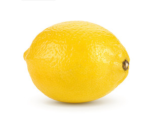 Lemon and cut half slice isolated on white background