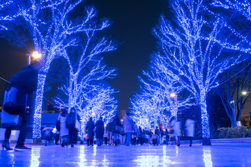 Obraz premium Winter illumination in Shibuya, Tokyo 青の洞窟