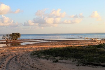 tropical mangrove lagoon