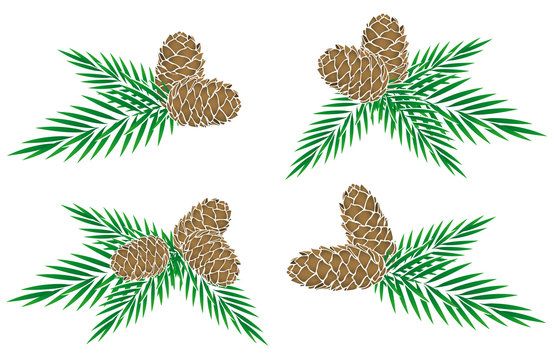 Collection of fir green and pine cones icons 