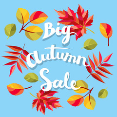 Fototapeta na wymiar Big Autumn sale background. Decorative freehand lettering and colorful fall leaves.